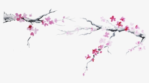 Cherry Blossom Plum Flower Clipart - Japan Cherry Blossom Png, Transparent Png, Transparent PNG