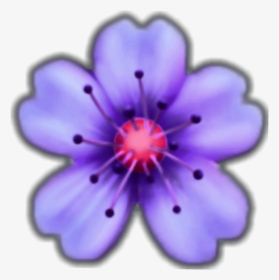 Flower Emoji Transparent Background, HD Png Download, Transparent PNG