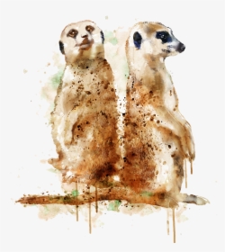 Meerkat Painting, HD Png Download, Transparent PNG
