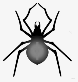 Halloween Clipart Spider - Drawing Halloween Spider Web, HD Png Download, Transparent PNG