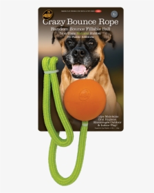 4 Best Friends Natural Rubber Pet Toys - Dog Catches Something, HD Png Download, Transparent PNG