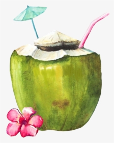 #coconut #coconutdrink #scbeachessentials #beachessentials - Green Coconut With Straw Painting, HD Png Download, Transparent PNG