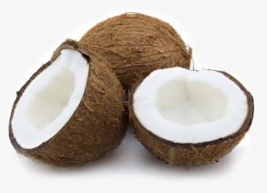 Made From 100% Real Coconuts - Coconut Fruits, HD Png Download, Transparent PNG
