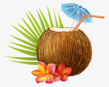 Summer Coconut Vector, HD Png Download, Transparent PNG