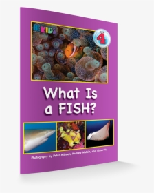 What Is A Fish Revisesd Edition 3d Cover - Fish, HD Png Download, Transparent PNG