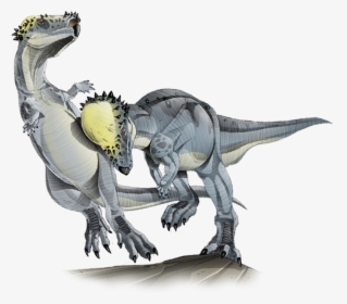 Pachycephalosaurus - Pachycephalosaurus Size, HD Png Download, Transparent PNG
