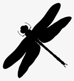 Intricate Dragonfly Silhouette - Black And White Dragonfly Silhouettes, HD Png Download, Transparent PNG