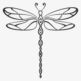 Dragonfly Symbol, HD Png Download, Transparent PNG