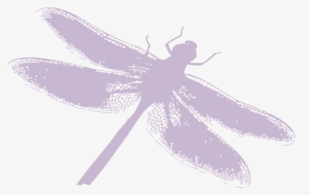 Dragonfly Silhouette Png Download - Dragonfly, Transparent Png, Transparent PNG
