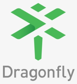 Dragonfly Logo Png - Graphic Design, Transparent Png, Transparent PNG