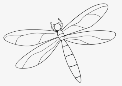 Picture Transparent Download Vector Dragonfly Watercolor - Dragonfly, HD Png Download, Transparent PNG