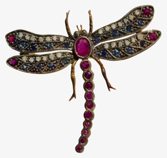 Dragonfly, HD Png Download, Transparent PNG