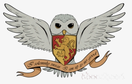 Transparent Owl Clipart - Harry Potter Hedwig Drawing, HD Png Download, Transparent PNG