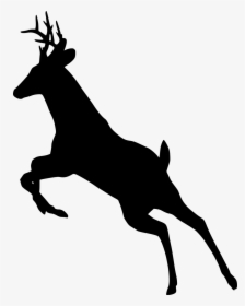 Deer, Jumping, Silhouette, Animal, Leaping, Wildlife - Deer Running Silhouette Buck, HD Png Download, Transparent PNG