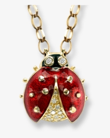 Ladybird Jewellery, HD Png Download, Transparent PNG