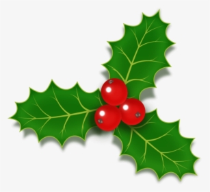 Holly Berries Icon Psd - Christmas Holly And Berries, HD Png Download, Transparent PNG
