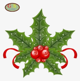 Diverse Voorgeknipte Afbeeldingen Kerst Kerstman Q&a - Christmas Holly And Berries, HD Png Download, Transparent PNG