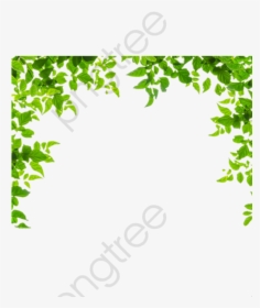 Leaves Border Nice Pretty - Transparent Background Leaf Border Transparent, HD Png Download, Transparent PNG