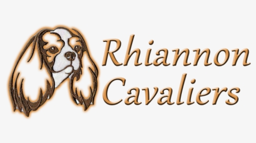 Rhiannon-cavaliers - Spaniel, HD Png Download, Transparent PNG
