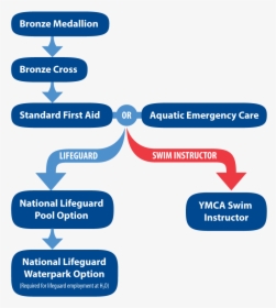 Steps To Become A Lifeguard Or Swim Instructor - Become A Lifeguard In Canada, HD Png Download, Transparent PNG