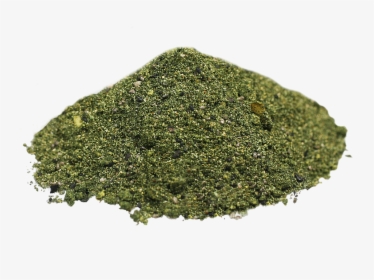 Grass, HD Png Download, Transparent PNG
