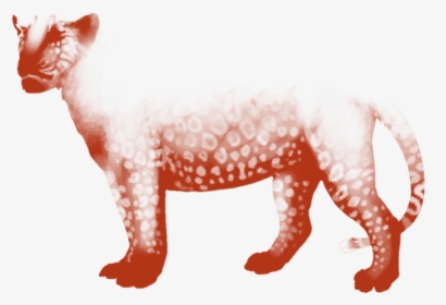 Cat, HD Png Download, Transparent PNG