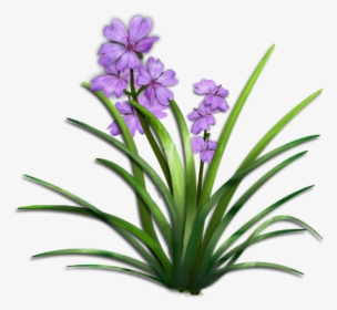 Transparent Garden Flowers Png - Plant With Flower Png, Png Download, Transparent PNG