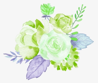 Transparent Watercolor Roses Png - Garden Roses, Png Download, Transparent PNG