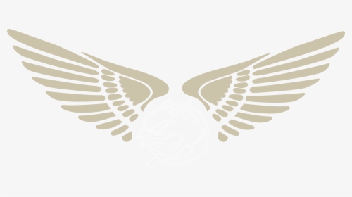 Royal Enfield Wings Logo, HD Png Download, Transparent PNG