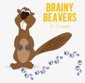 Brainy Beavers Wait List Registration - Cartoon, HD Png Download, Transparent PNG