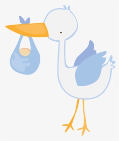 Stork Vector Banner Baby Boy Stork Clipart - Cigueña Baby Shower Niño, HD Png Download, Transparent PNG