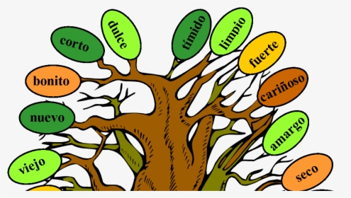 Music And Spanish Fun Tree Of Adjectives - Model Of Adjective Tree, HD Png Download, Transparent PNG