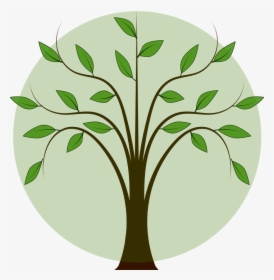 Folhas De Arvore Png - Tree With Leaves Clipart, Transparent Png, Transparent PNG