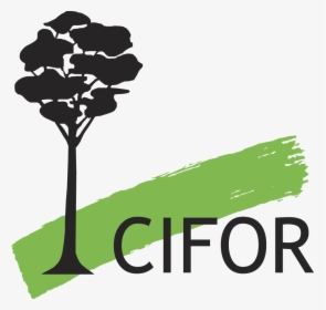Center For International Forestry - Center For International Forestry Research Cifor Logo, HD Png Download, Transparent PNG
