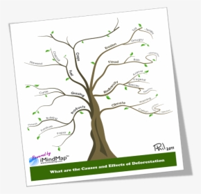 Causes And Effects Of Deforestation Or How To Make - Causes Of Deforestation Drawing, HD Png Download, Transparent PNG