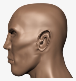 Human Head Face Human Body Skull - Head Side View Hd, HD Png Download, Transparent PNG