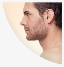 Perfect Nose Man Profile - Perfect Male Nose Profile, HD Png Download, Transparent PNG