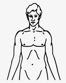 Collection Of Free Male Drawing Human Face Download - Pheromone Party, HD Png Download, Transparent PNG