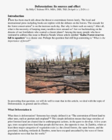 Deforestation Png, Transparent Png, Transparent PNG