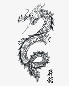 Dragon Vector Art 1 - Chinese Dragon Line Art, HD Png Download, Transparent PNG
