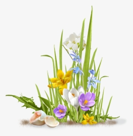 Spring, Flower, Crocus, Saffron, Grass, Shell, Egg - Flowers And Grass Png, Transparent Png, Transparent PNG