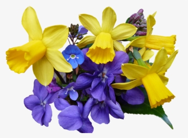 Spring, Flowers, Cut, Out - Spring Flowers Png Transparent, Png Download, Transparent PNG