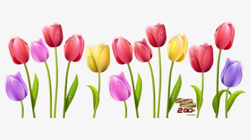 Spring Is Here Skagit - Tulip Flower Clipart Png, Transparent Png, Transparent PNG