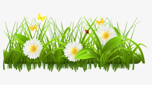 Daisy Clipart Springtime Flower - Flower Grass Border Design, HD Png Download, Transparent PNG