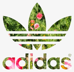 Transparent Adidas Png - Adidas Jacket Black And White Womens, Png Download, Transparent PNG