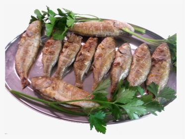 It Is Used To Make Brustico , Whole Fish Cooked On - Cooked Fish Png, Transparent Png, Transparent PNG