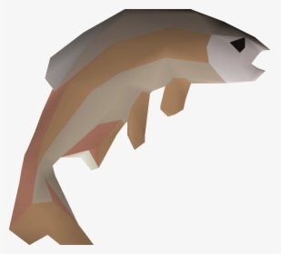 Fish - Osrs Tench, HD Png Download, Transparent PNG