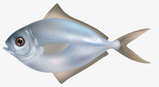 Fish Png, Transparent Png, Transparent PNG