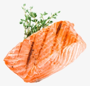 Grilled Salmon White Background, HD Png Download, Transparent PNG
