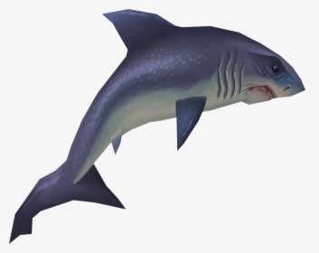 Shark Fish Png, Transparent Png, Transparent PNG
